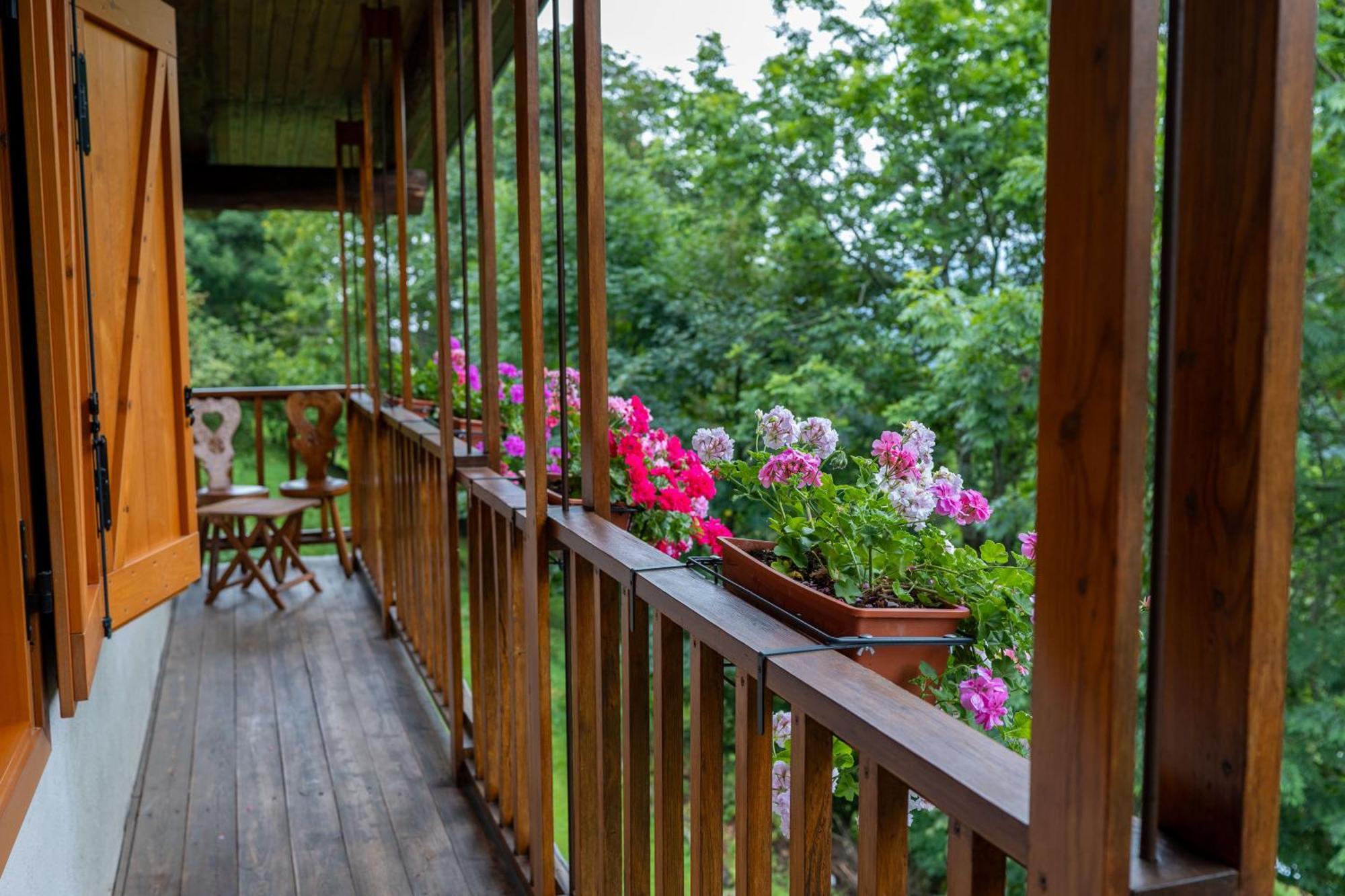 Apartamento La Finestra Sul Monviso Crissolo Exterior foto